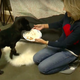 Woman feeds puppy "smash cake" from paper plate
